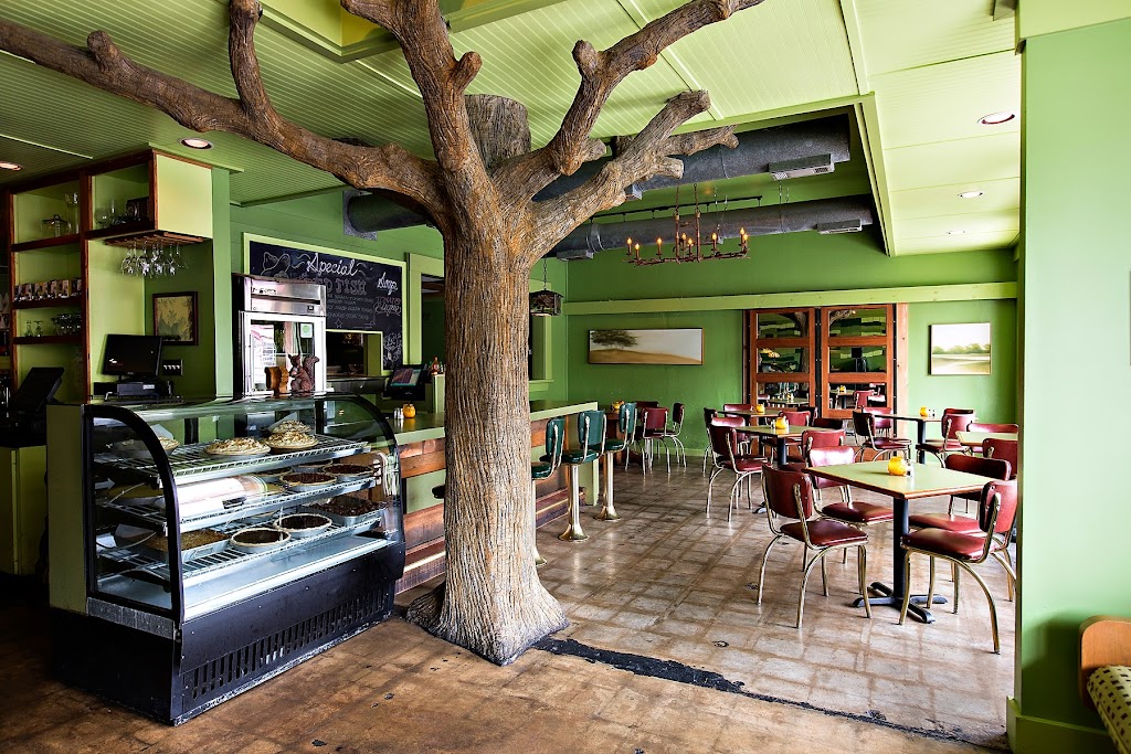 Woodland | restaurant | 1716 S Congress Ave, Austin, TX 78704, USA | 5124416800 OR +1 512-441-6800