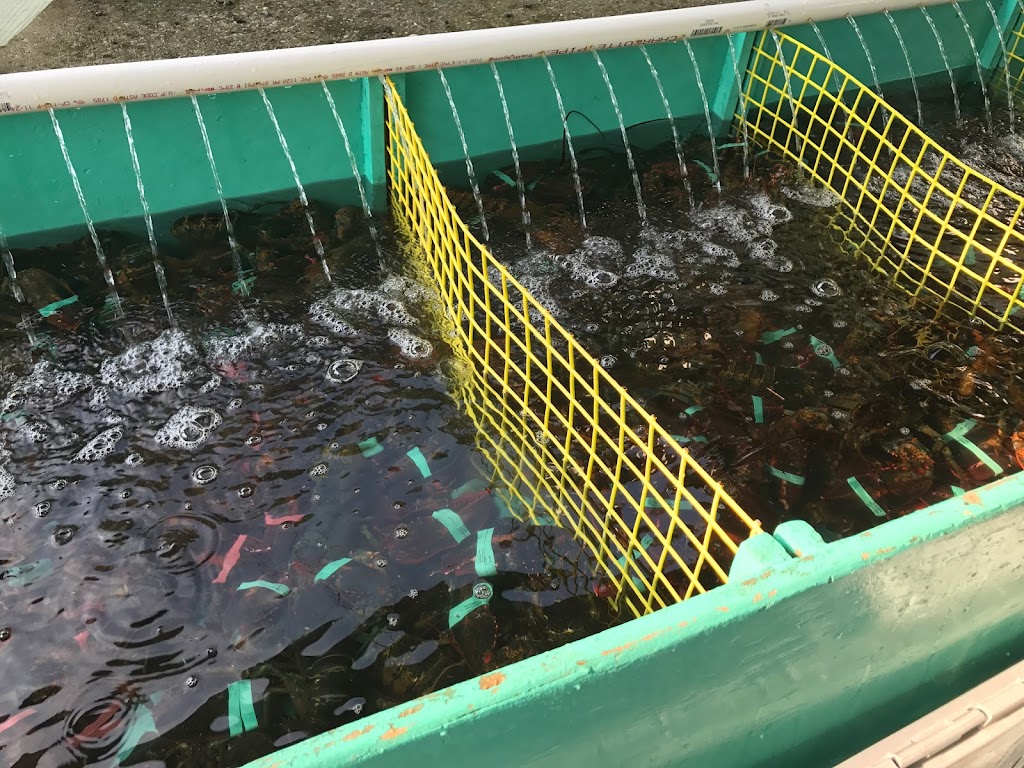 South Bristol Fisherman’s Co-op | restaurant | 35 Fire Rd 16, South Bristol, ME 04568, USA | 2076448224 OR +1 207-644-8224