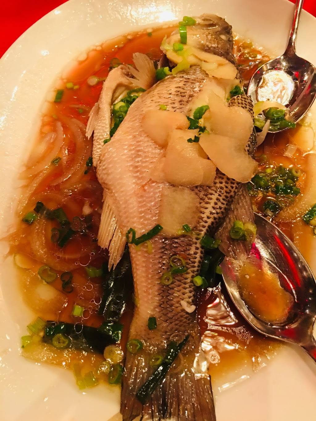 CHI | restaurant | 2707 S Virginia St, Reno, NV 89502, USA | 7756898889 OR +1 775-689-8889