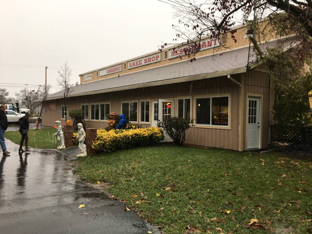 Honey Bear Ranch Winery | restaurant | 2826 Barkley Rd, Camino, CA 95709, USA | 5308789466 OR +1 530-878-9466