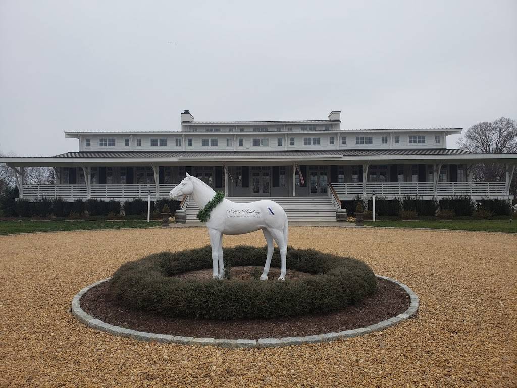 Upper Shirley Vineyards | restaurant | 600 Shirley Plantation Rd, Charles City, VA 23030, USA | 8048299463 OR +1 804-829-9463