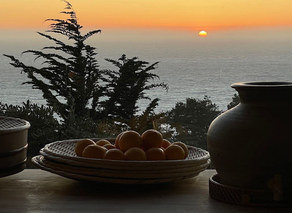 Wild Coast Restaurant | restaurant | 71895 CA-1, Big Sur, CA 93920, USA | 8059272390 OR +1 805-927-2390