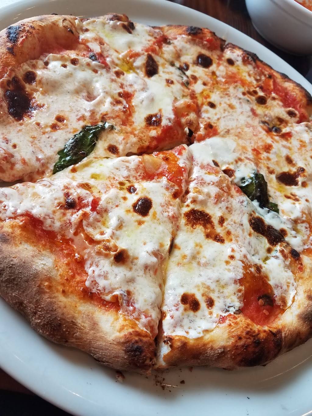 Fabrica Pizza | restaurant | 142 S Meridian Ave, Tampa, FL 33602, USA | 8136050764 OR +1 813-605-0764