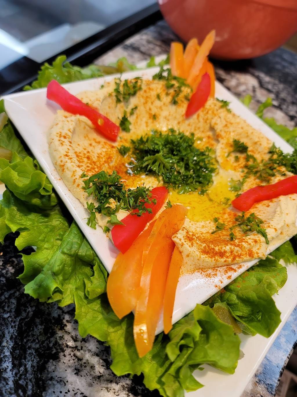 Oasis Kitchen | restaurant | 13210 Michigan Ave, Dearborn, MI 48126, USA | 3132890223 OR +1 313-289-0223