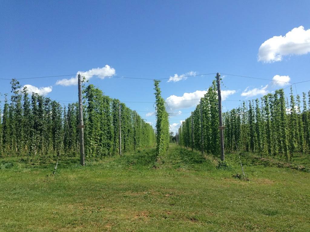 GoodLot Farm & GoodLot Farmstead Brewing Co. | restaurant | 18825 Shaws Creek Rd, Alton, ON L7K 1L3, Canada | 5199275881 OR +1 519-927-5881