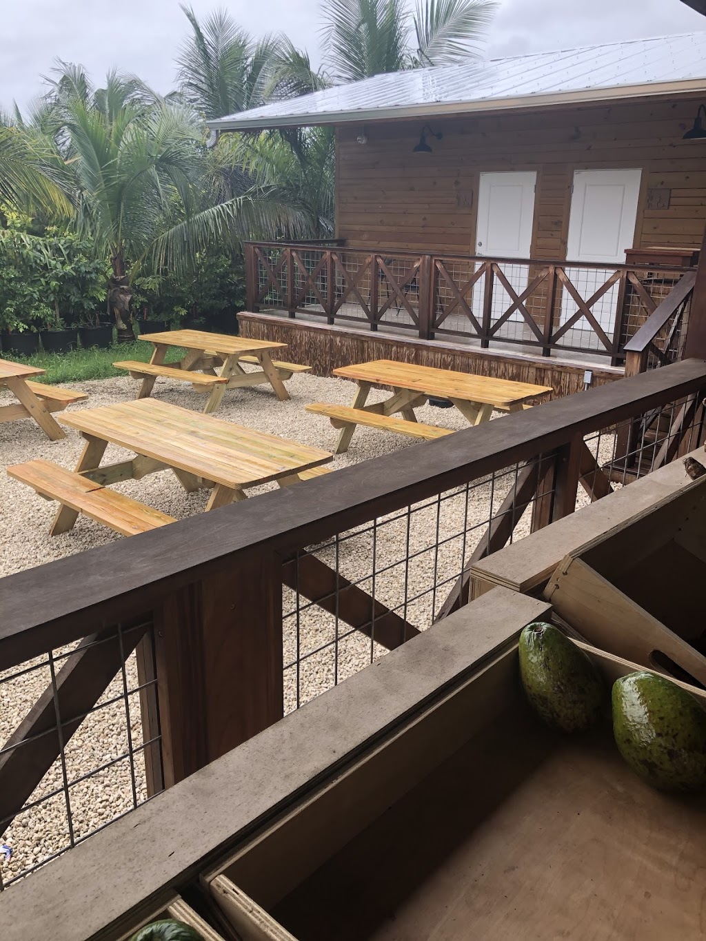 147 farmers Market | meal takeaway | 20200 SW 147th Ave, Miami, FL 33187, USA | 7862505420 OR +1 786-250-5420