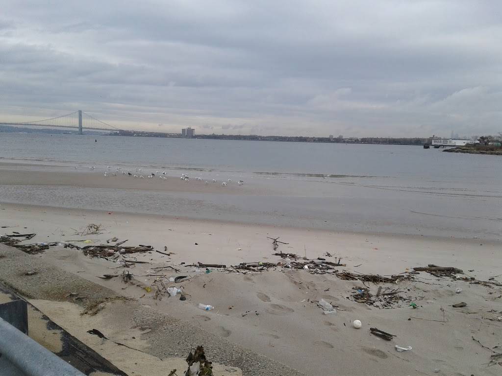 Emmons Bagels | bakery | 2253 Emmons Ave, Brooklyn, NY 11235, USA | 7189347665 OR +1 718-934-7665