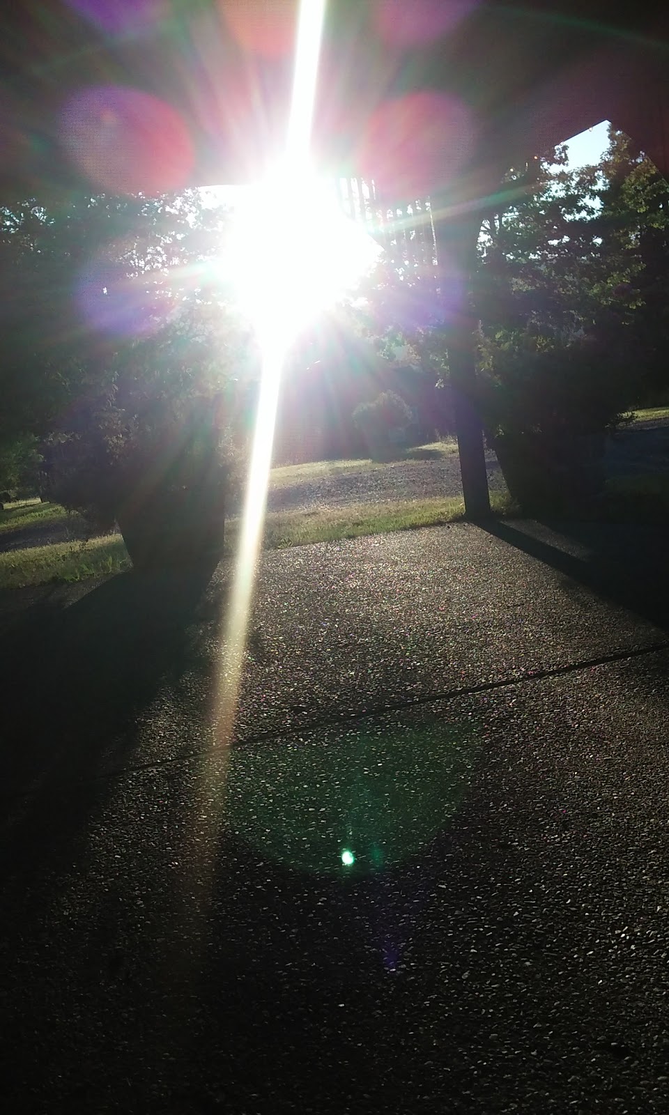 Pietros Italian Restaurant | restaurant | 355 Caves Hwy, Cave Junction, OR 97523, USA | 5415923228 OR +1 541-592-3228