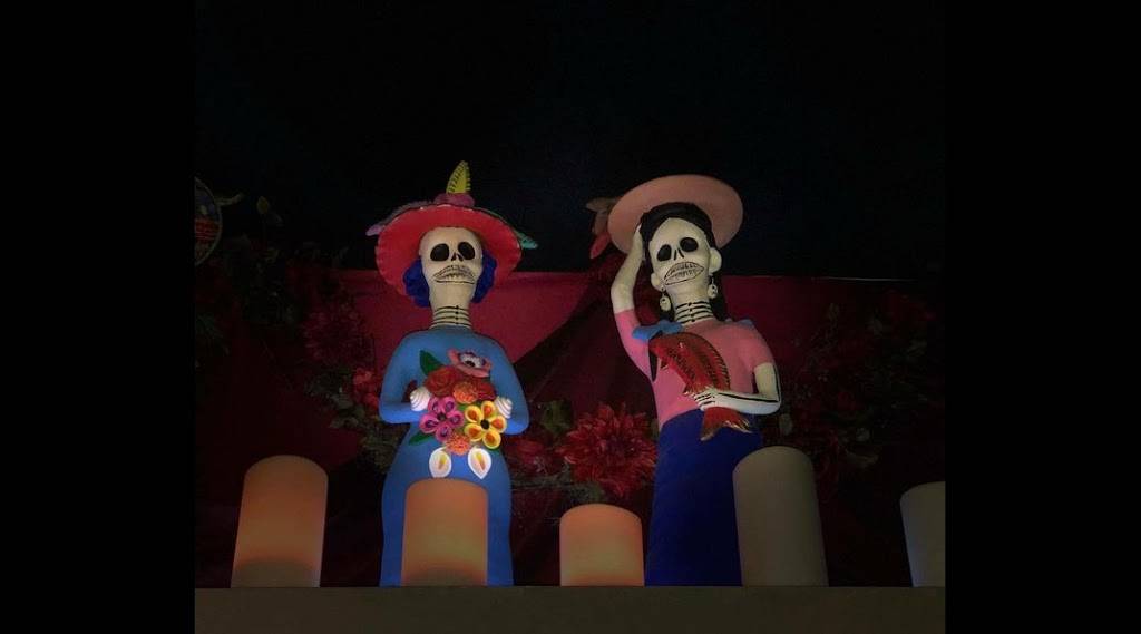 Diablitos Cantina | restaurant | 4198 Manchester Ave, St. Louis, MO 63110, USA | 3145359700 OR +1 314-535-9700