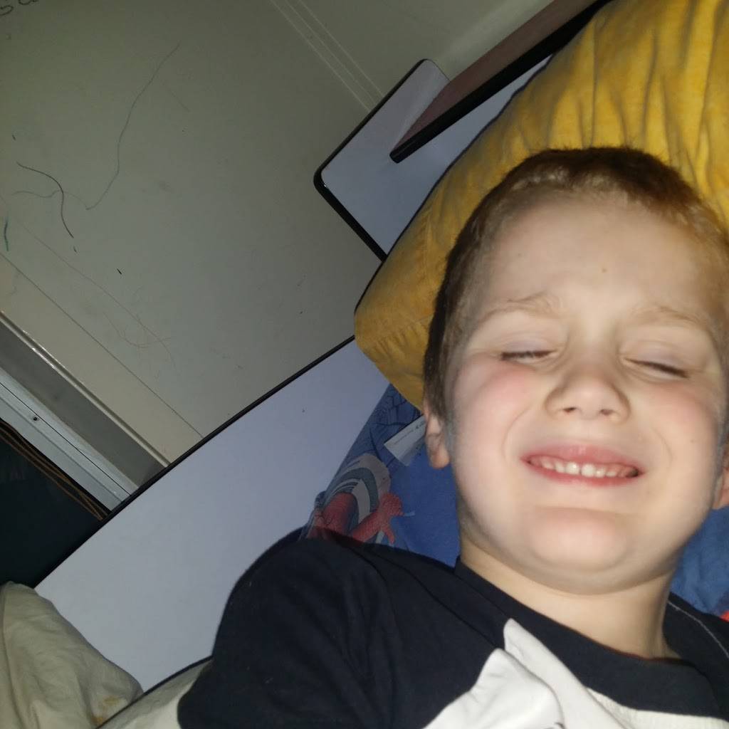 The Shady Dog | restaurant | Pittsburgh, PA 15224, USA | 4128185132 OR +1 412-818-5132