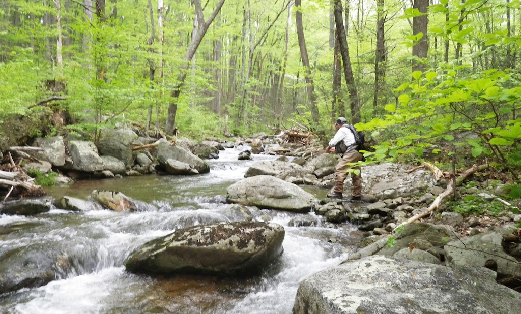 Graves Mountain Music Festival in the Blue Ridge | restaurant | 54 Graves Mountain Ln, 3973 Old Blue Ridge Turnpike, Syria, VA 22743, USA | 5409234231 OR +1 540-923-4231
