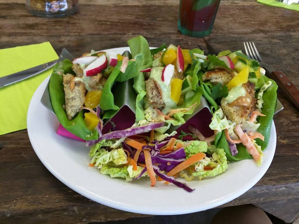 Paleo Connection | restaurant | 3515 N Lockwood Ridge Rd, Sarasota, FL 34234, USA | 9419601955 OR +1 941-960-1955