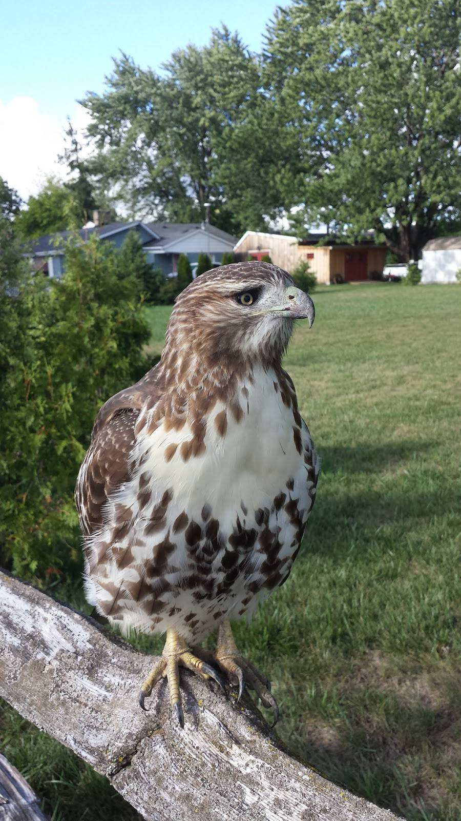 Beechwood - Social House (Restaurant) | restaurant | 4680 Thorold Town Line, Niagara Falls, ON L2H 0W2, Canada | 9056804653 OR +1 905-680-4653