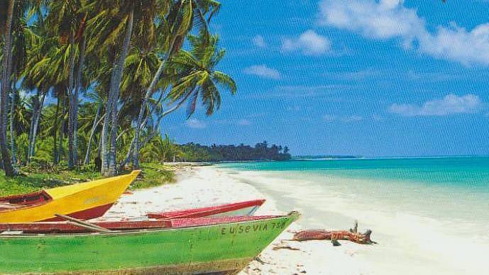 Caribbean Seafood House of Mofongo | restaurant | 1005 Keith St NW, Cleveland, TN 37311, USA | 4234733462 OR +1 423-473-3462