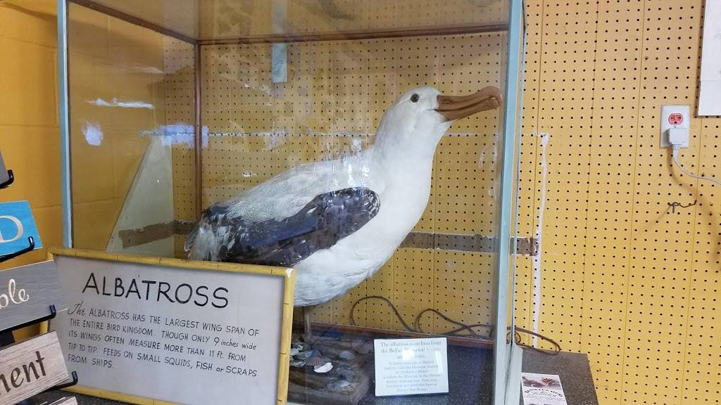 Perrys Nut House | meal takeaway | 45 Searsport Ave, Belfast, ME 04915, USA | 2073381630 OR +1 207-338-1630