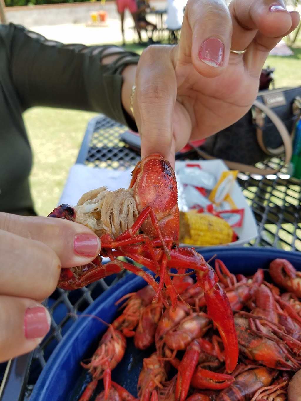 Red Mountain Crawfish | restaurant | 195 Vulcan Rd, Birmingham, AL 35209, USA | 2053053131 OR +1 205-305-3131