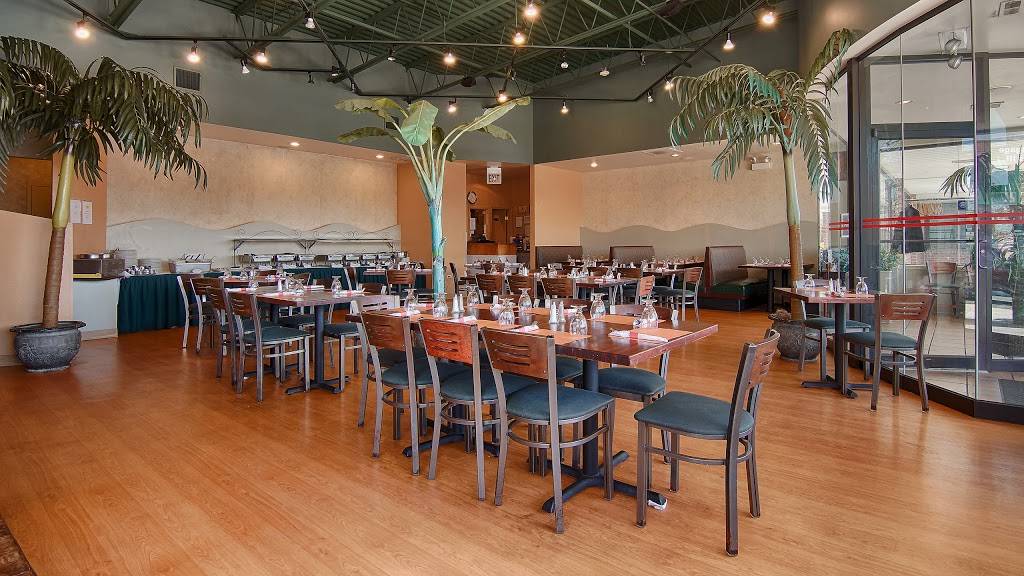 Udupi Palace Restaurant | restaurant | 730 Schaumburg Rd, Schaumburg, IL 60194, USA | 8478849510 OR +1 847-884-9510