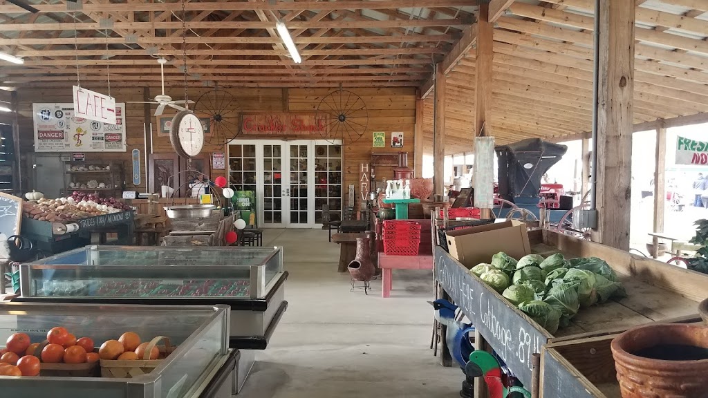 31 Produce/Cracker Shack Cafe | restaurant | 18672 FL-31, Alva, FL 33920, USA | 2393138213 OR +1 239-313-8213