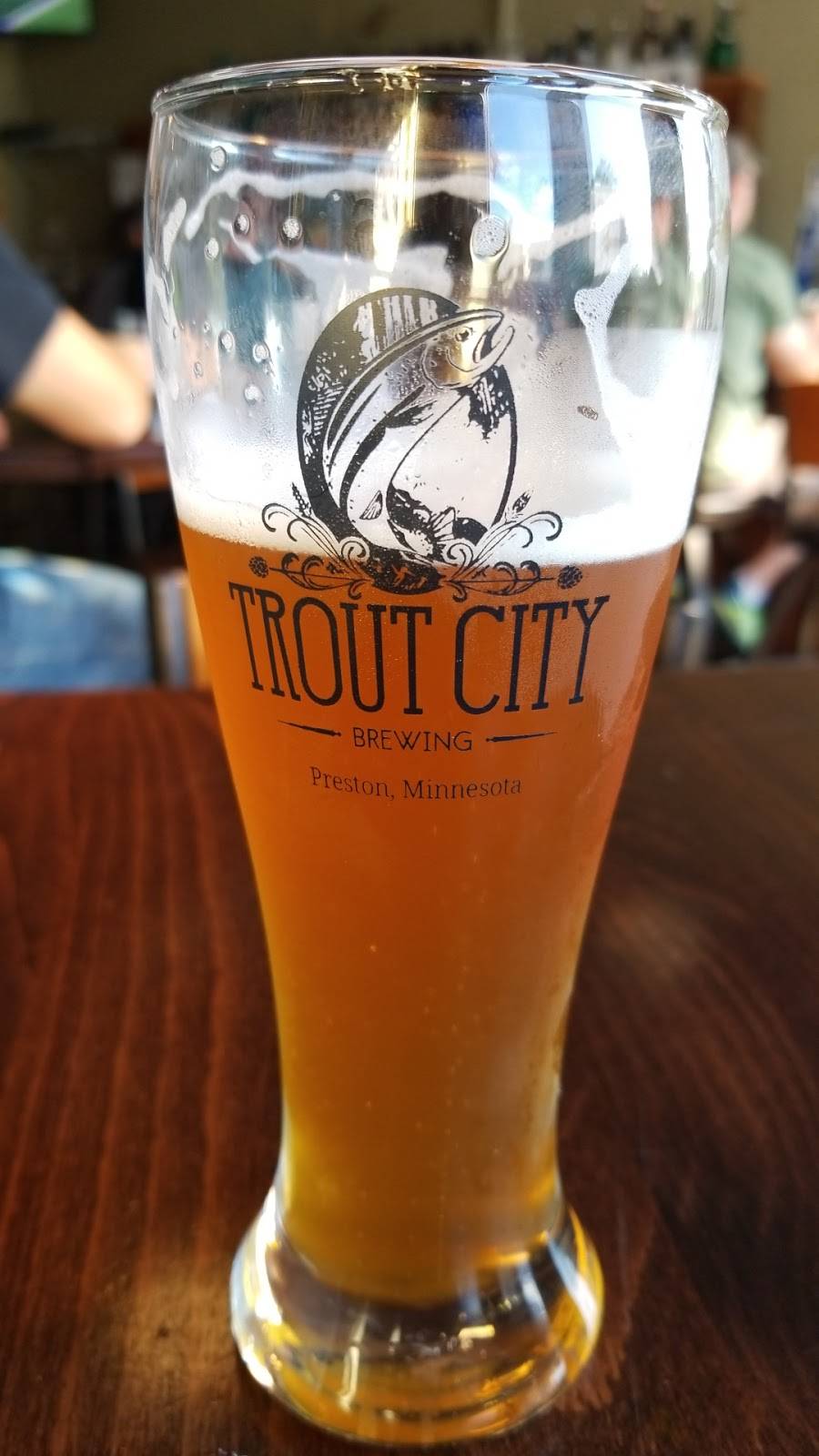 Trout City Brewing | restaurant | 132 St Anthony St S, Preston, MN 55965, USA | 5079933706 OR +1 507-993-3706