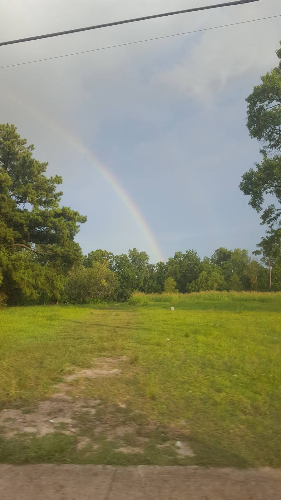 Popeyes Louisiana Kitchen | restaurant | 9830 Homestead Rd, Houston, TX 77016, USA | 7136315191 OR +1 713-631-5191