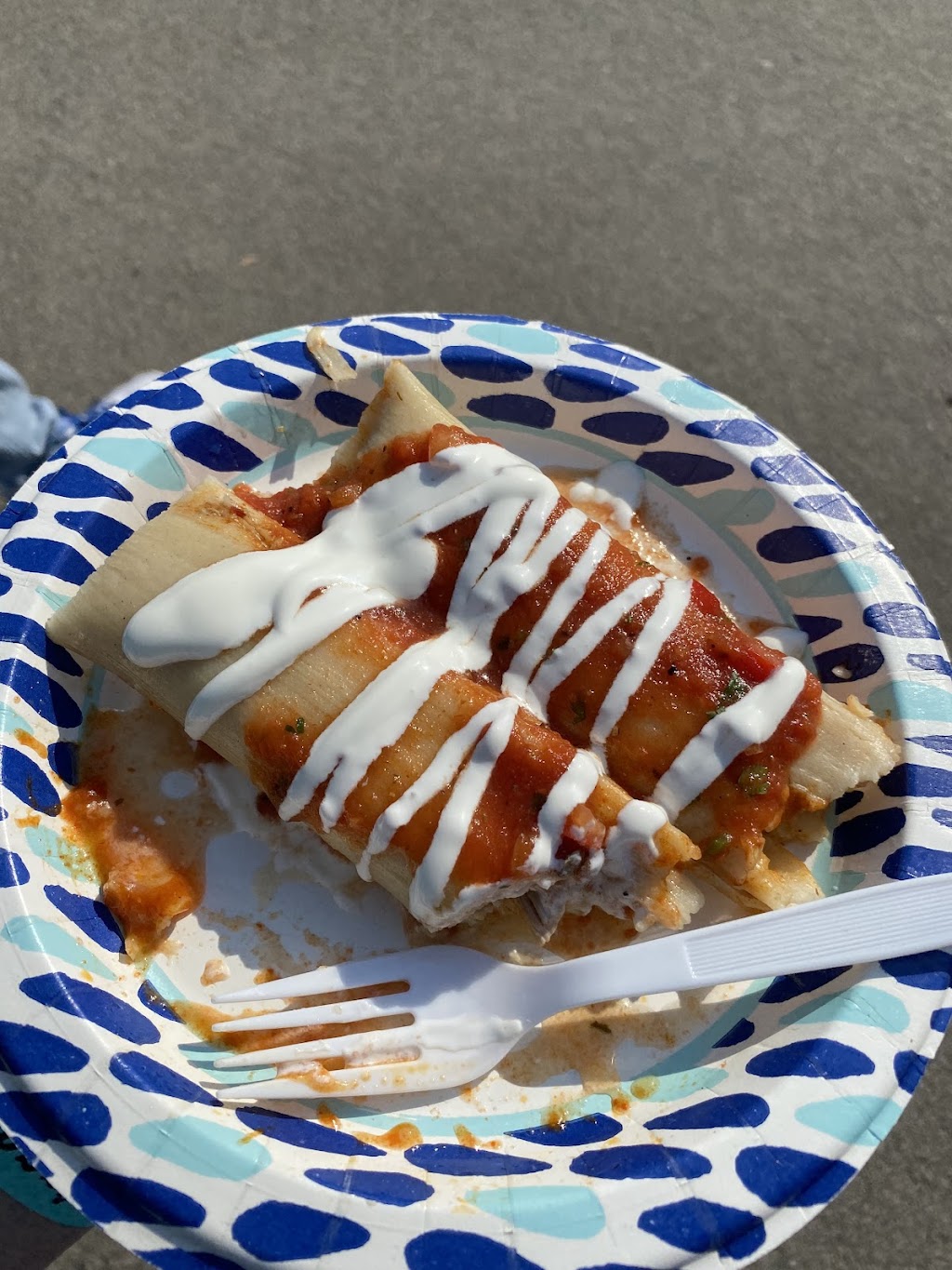 Tamale Factory | meal takeaway | 754 Hopkins Rd, Central Point, OR 97502, USA | 5416906152 OR +1 541-690-6152