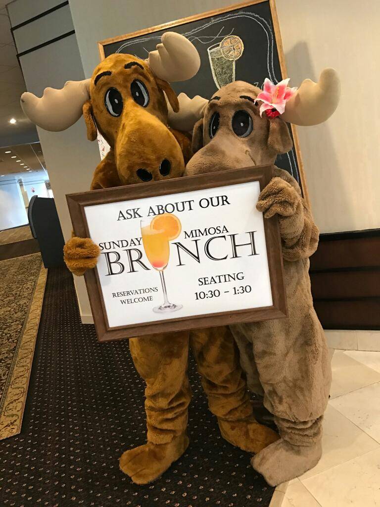 Moose River Restaurant | restaurant | 1777 Burrstone Rd, New Hartford, NY 13413, USA | 3157972131 OR +1 315-797-2131