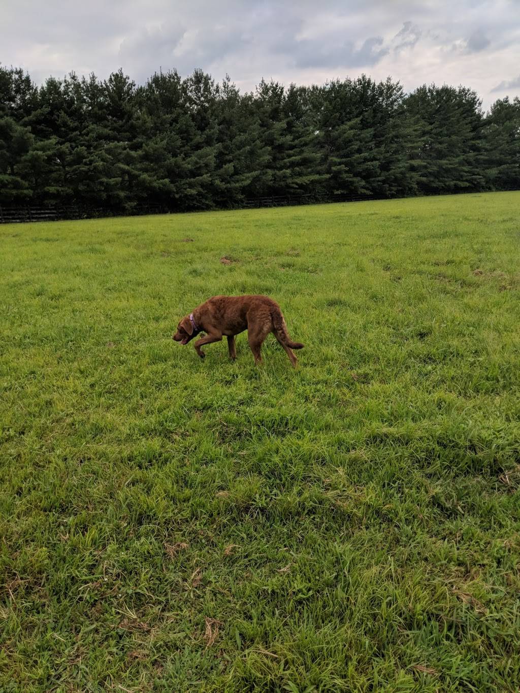 WillowBrook Golf Club | restaurant | 6751 McMinnville Hwy, Manchester, TN 37355, USA | 9317288989 OR +1 931-728-8989