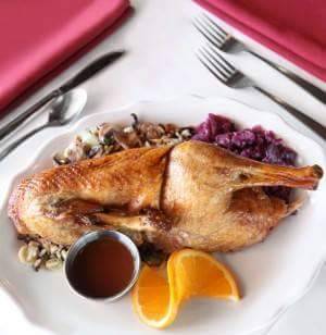 Ocean Grill | restaurant | 1050 Beachland Blvd, Vero Beach, FL 32963, USA | 7722315409 OR +1 772-231-5409