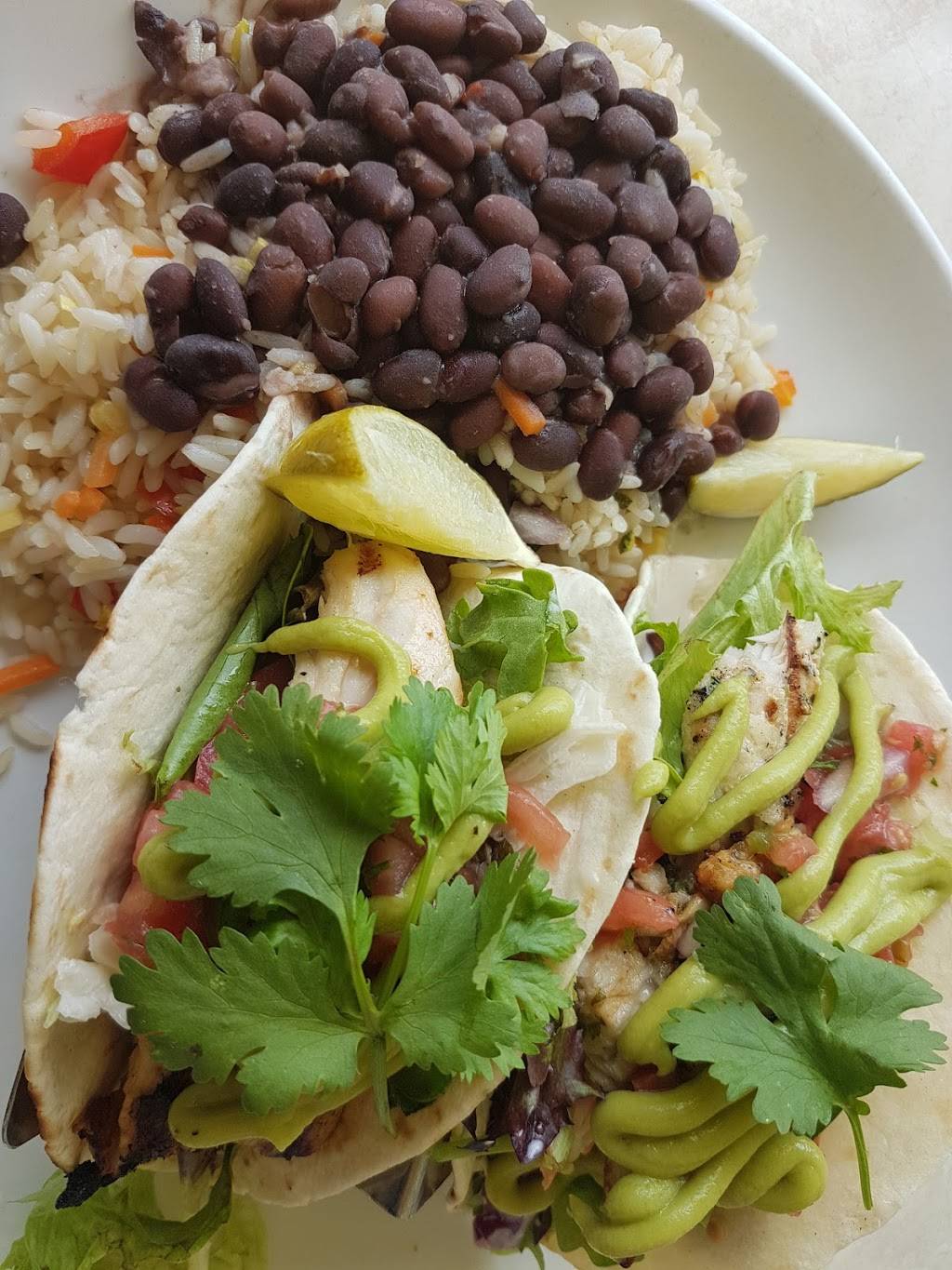 Casablanca Cafe | cafe | 3049 Alhambra St, Fort Lauderdale, FL 33304, USA | 9547643500 OR +1 954-764-3500