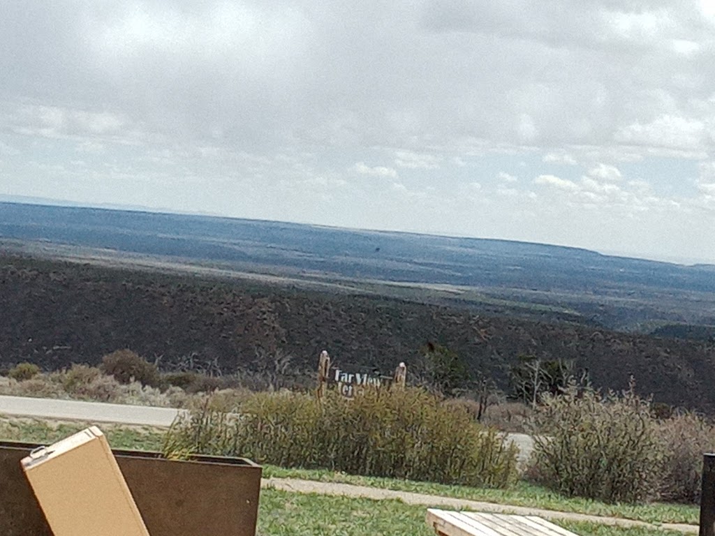 Arts Cafe | restaurant | 747 Irving St, San Francisco, CA 94122, USA | 4156657440 OR +1 415-665-7440