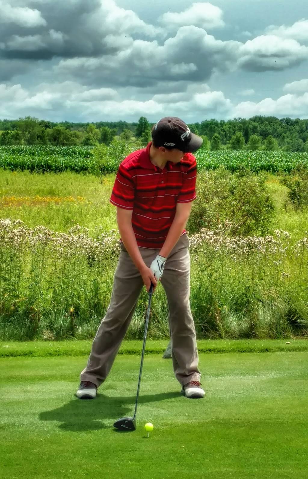 Idlewild Golf Course | restaurant | 4146 Golf Valley Dr, Sturgeon Bay, WI 54235, USA | 9207433334 OR +1 920-743-3334