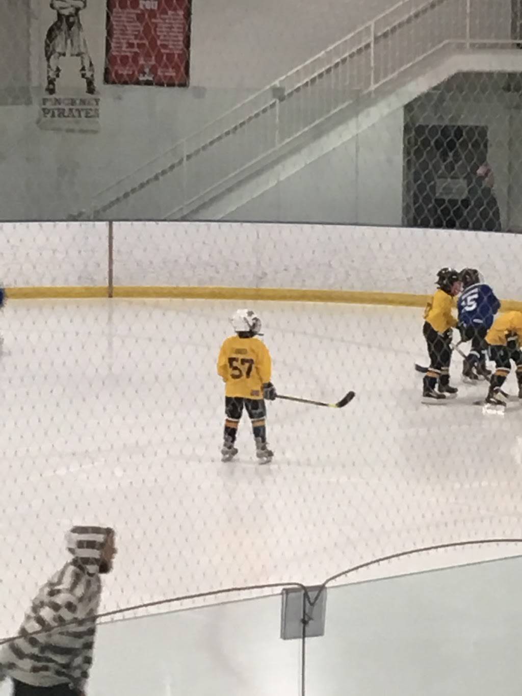 Arctic Coliseum Inc | restaurant | 501 Coliseum Dr, Chelsea, MI 48118, USA | 7344334444 OR +1 734-433-4444