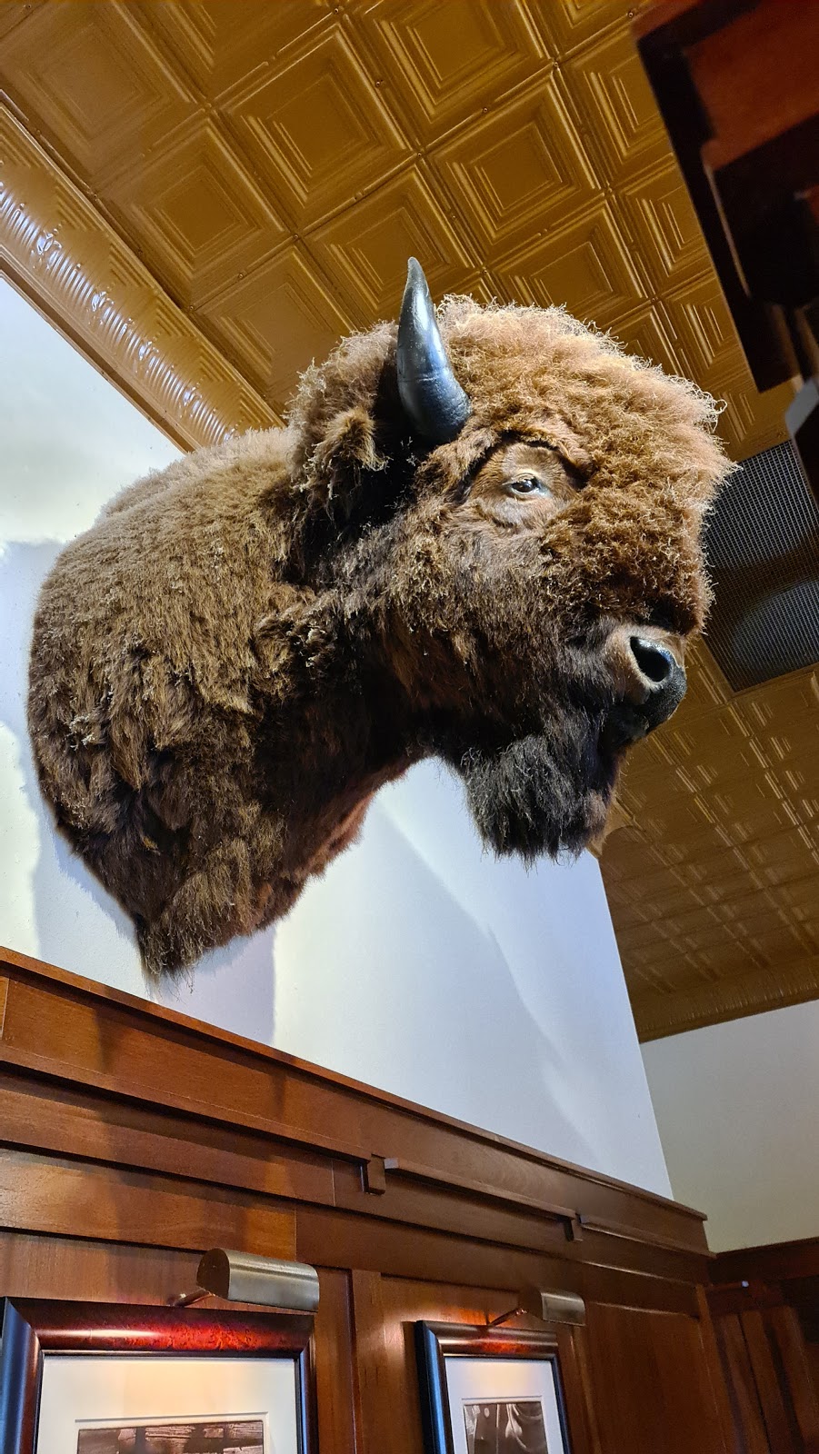 Teds Montana Grill | restaurant | 1954 Village Green Way, Tallahassee, FL 32308, USA | 8505618337 OR +1 850-561-8337