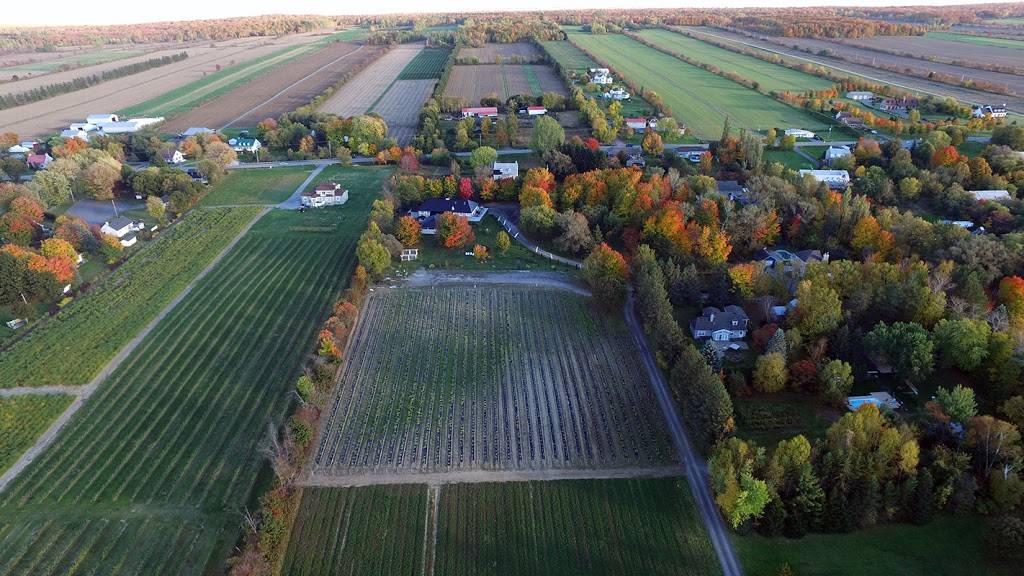 la Grange de lile | restaurant | 517 Chemin du Carrefour, Saint-Pierre-de-lÎle-dOrléans, QC G0A 4E0, Canada | 4188289926 OR +1 418-828-9926