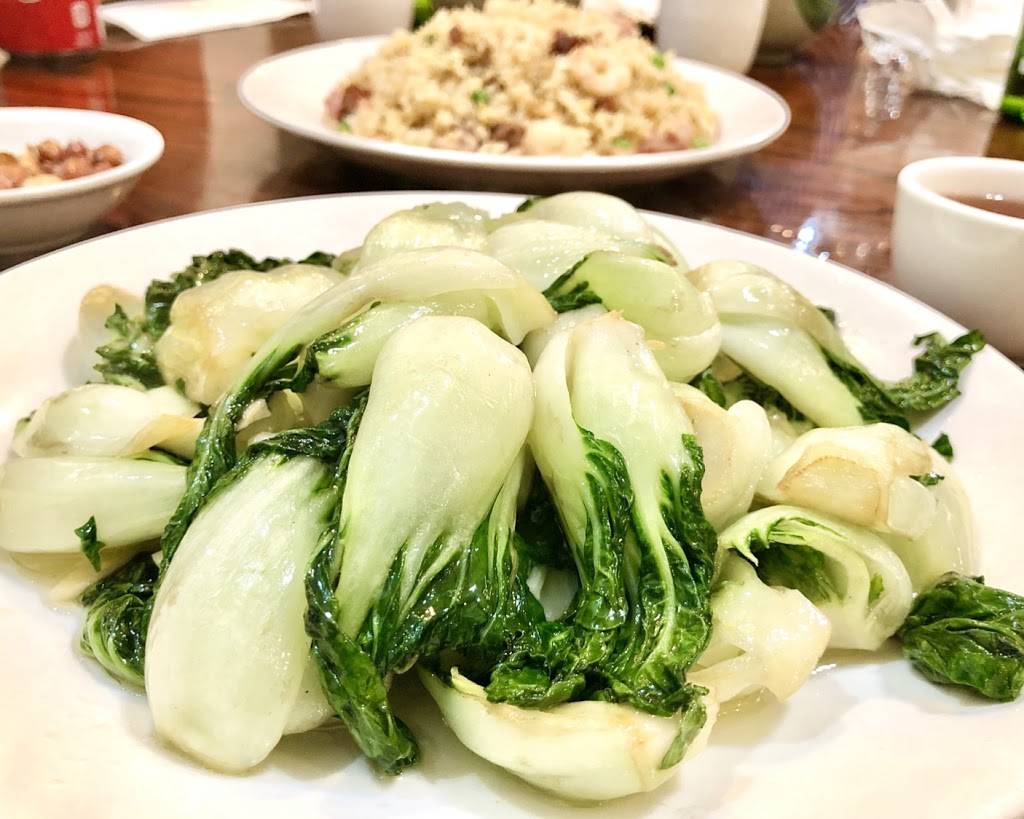 New Yee Li | restaurant | 6619 Fort Hamilton Pkwy, Brooklyn, NY 11219, USA | 7188338373 OR +1 718-833-8373