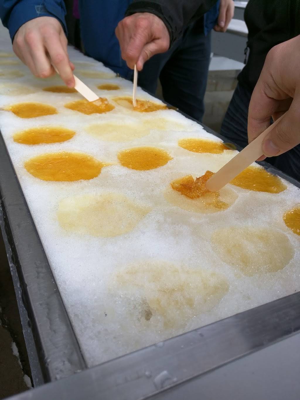 Érablière Duchesne | restaurant | 2685 Chemin Goddard, Sherbrooke, QC J1H 0C4, Canada | 8195652806 OR +1 819-565-2806