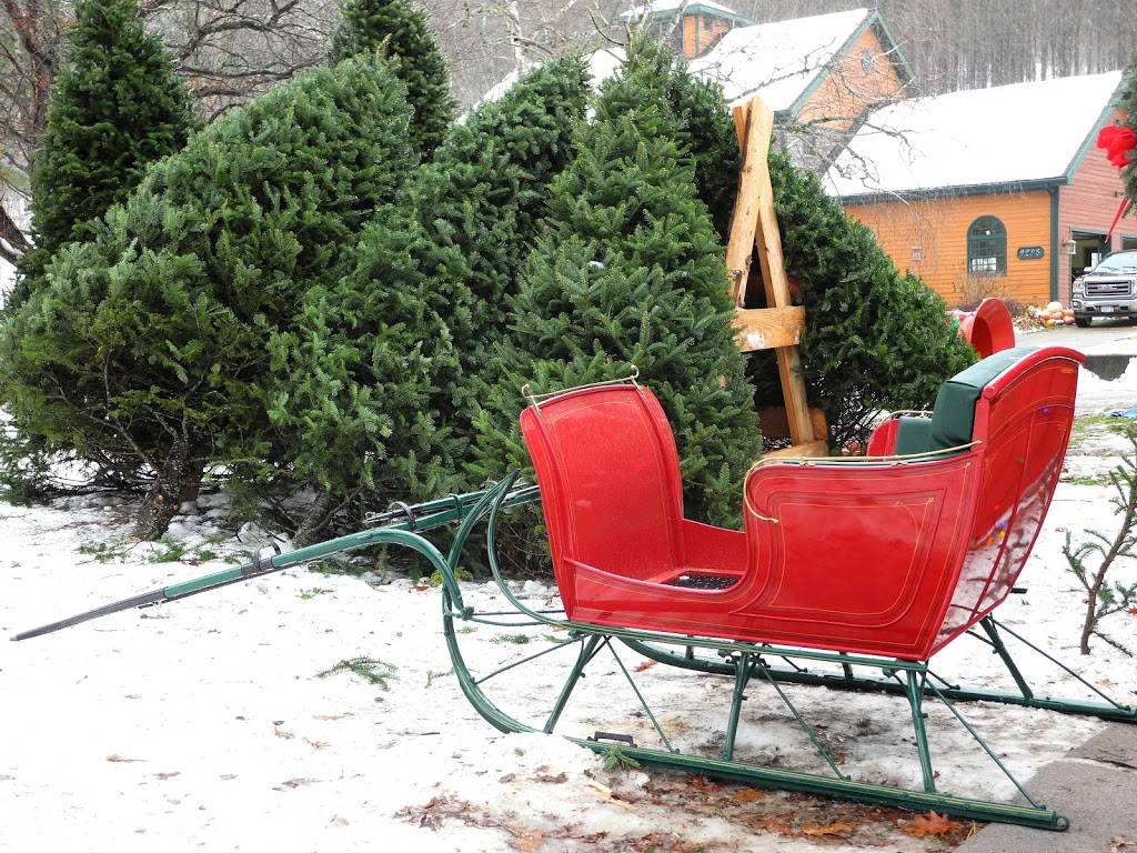 Kringle Christmas Tree Farm | restaurant | 9298 NY-46, Westernville, NY 13486, USA | 3158274534 OR +1 315-827-4534