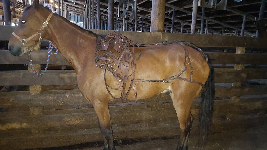 Auction House Cafe | restaurant | 3634 10th St, Wayland, MI 49348, USA | 2697926109 OR +1 269-792-6109