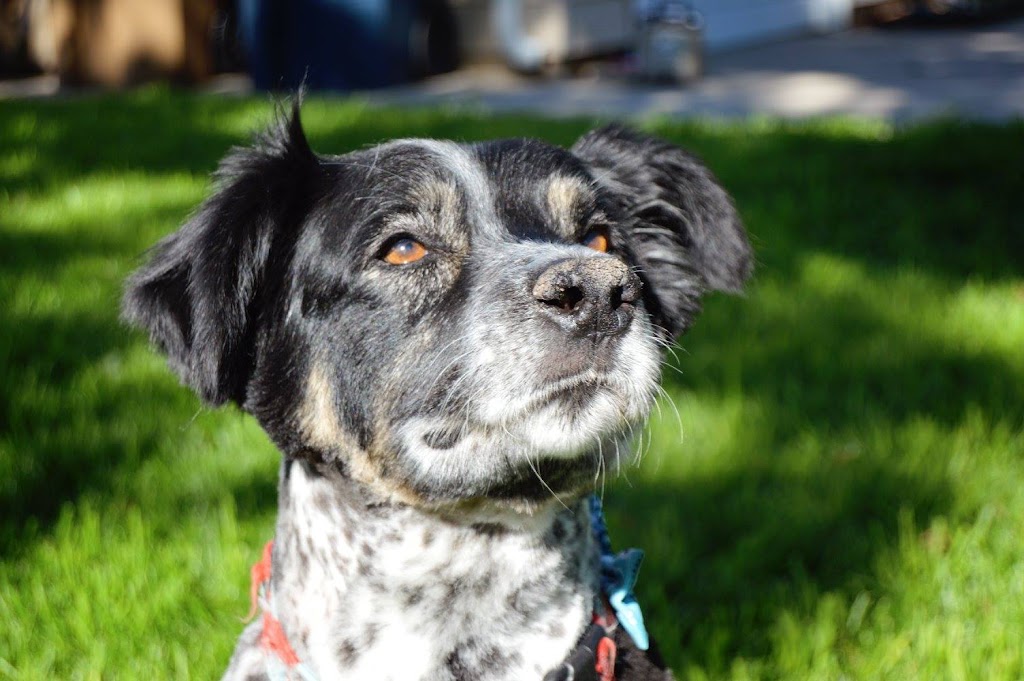 Ol Jakes Convenience Store & Deli | restaurant | 15 E 2nd Ave, Hutchinson, KS 67501, USA | 6205000005 OR +1 620-500-0005