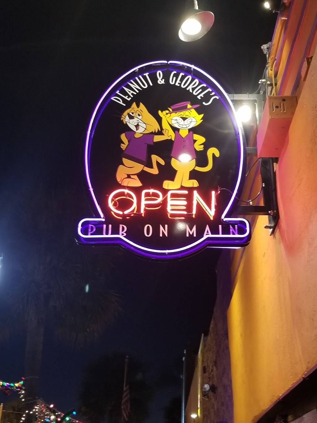 Peanut & Georges Pub on Main | restaurant | 821 Main St, Daytona Beach, FL 32118, USA | 3862389437 OR +1 386-238-9437