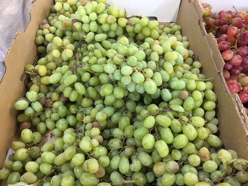 Trinethra Supermarket | cafe | 812 W El Camino Real, Sunnyvale, CA 94087, USA | 4089008907 OR +1 408-900-8907