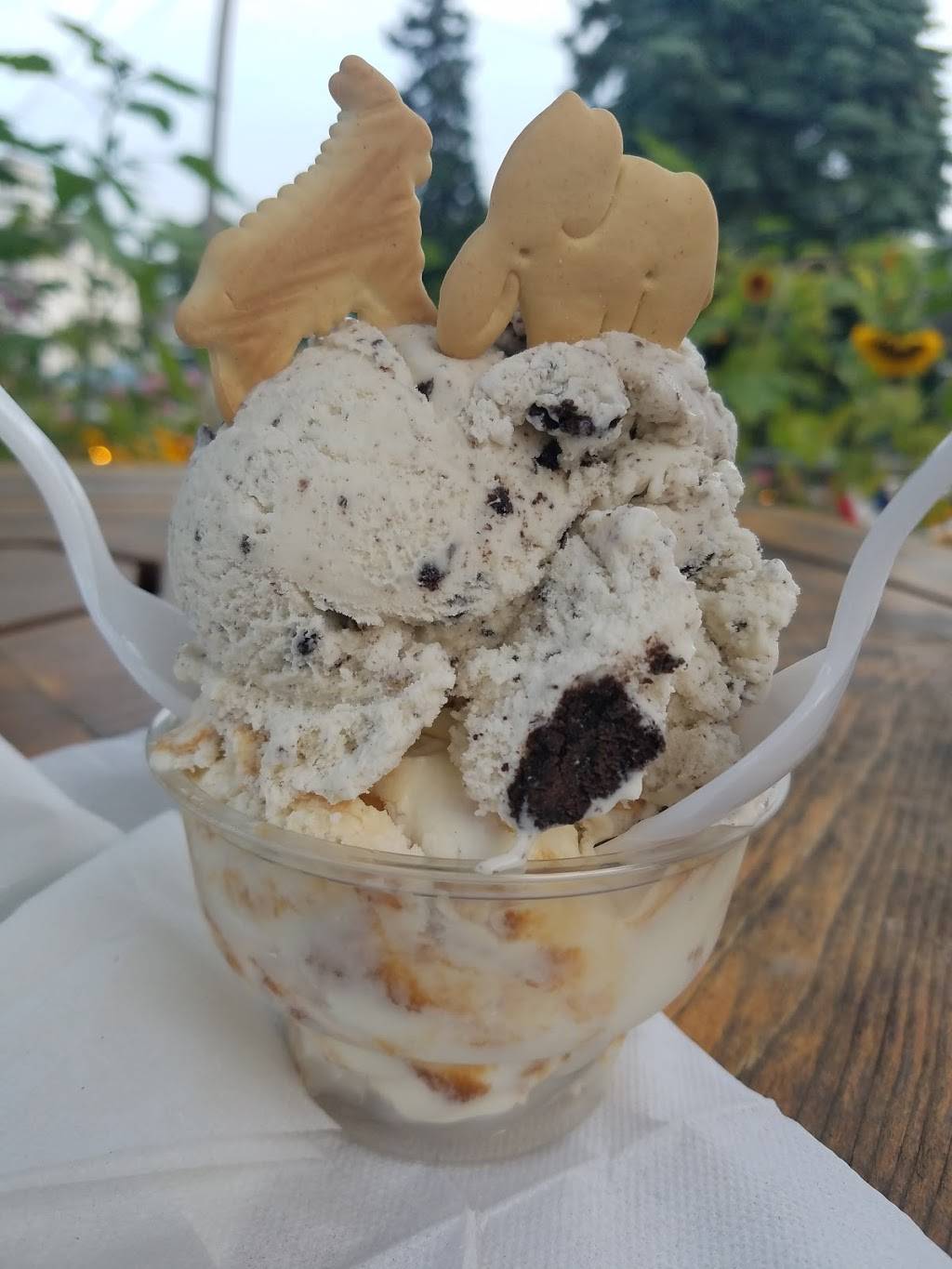 Grumpys Ice Cream and Popcorn | restaurant | 7849 WI-42, Egg Harbor, WI 54209, USA | 9208689494 OR +1 920-868-9494