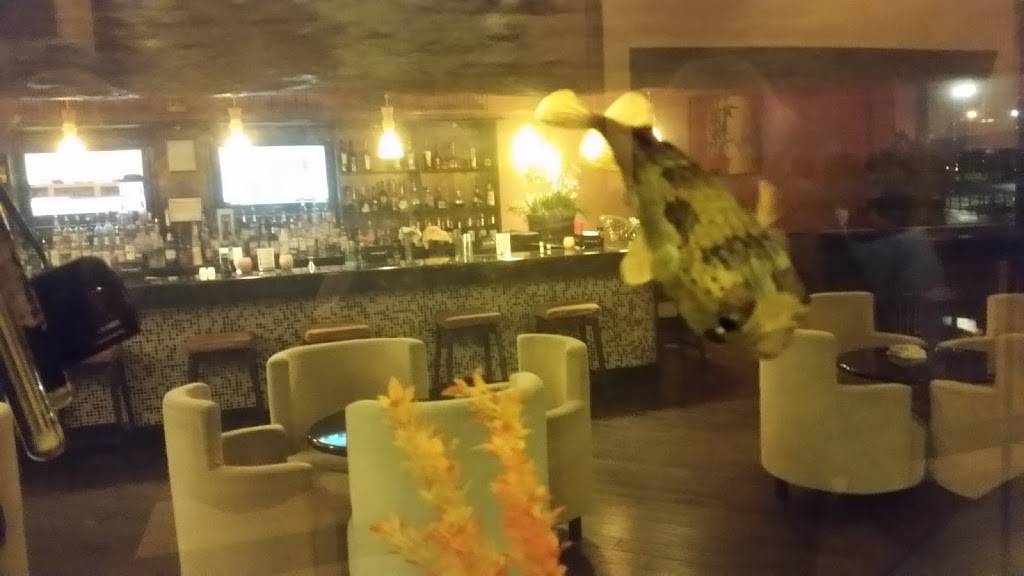 Kintaro All You Can Eat Sushi & Hotpot & BBQ | restaurant | 4054 Medina Rd, Akron, OH 44333, USA | 3306669988 OR +1 330-666-9988