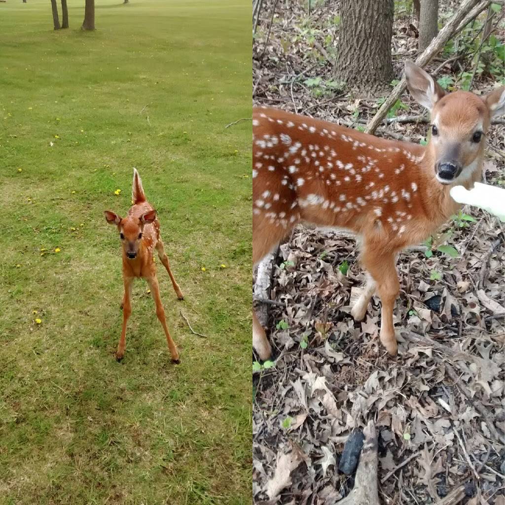 Royal Scot Golf Course & Supper Club | restaurant | 4831 Church Rd, New Franken, WI 54229, USA | 9208662356 OR +1 920-866-2356