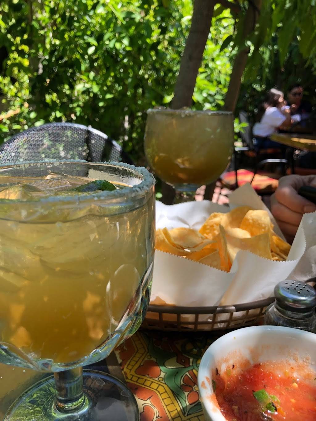 El Mirasol Restaurant | restaurant | 266 E Vía Altamira, Palm Springs, CA 92262, USA | 7604593136 OR +1 760-459-3136