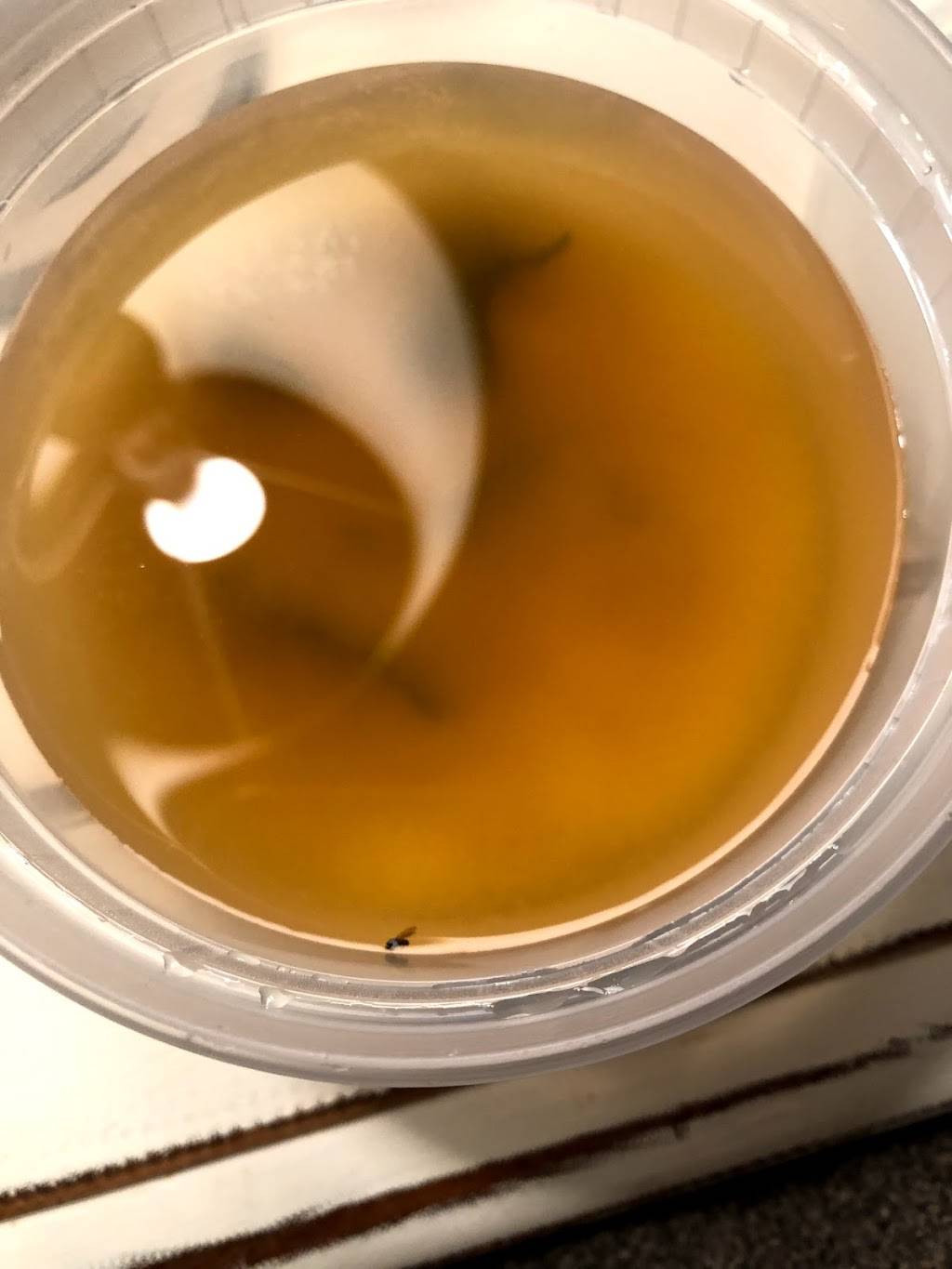 Fugu Express | restaurant | 2900 Delk Rd SE, Marietta, GA 30067, USA | 7703723993 OR +1 770-372-3993