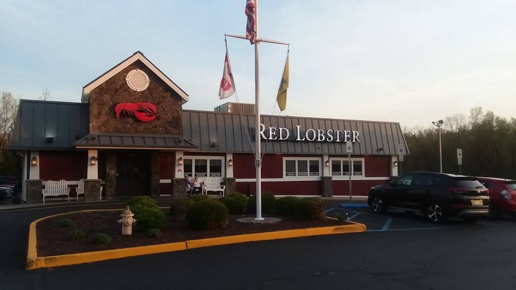 Red Lobster | restaurant | 520 US-46, Wayne, NJ 07470, USA | 9737853114 OR +1 973-785-3114
