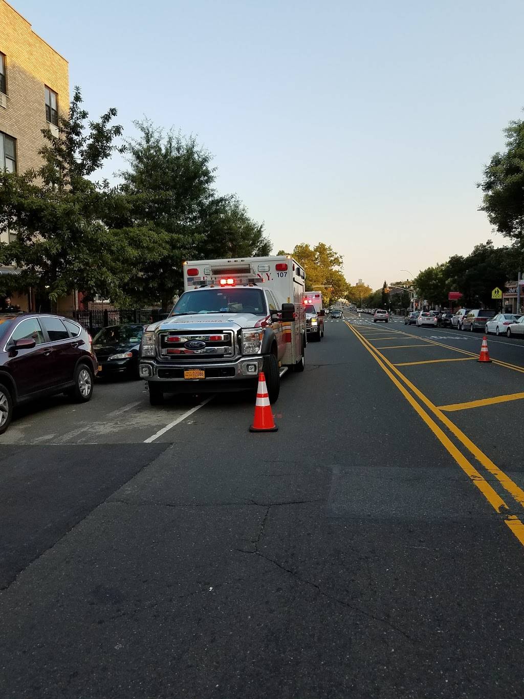 A Kandola Inc | restaurant | 1534 White Plains Rd, Bronx, NY 10462, USA | 7186845578 OR +1 718-684-5578