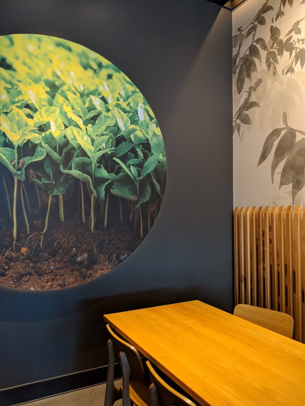 Starbucks | cafe | 2480 Burton St SE, Grand Rapids, MI 49546, USA | 6169420826 OR +1 616-942-0826