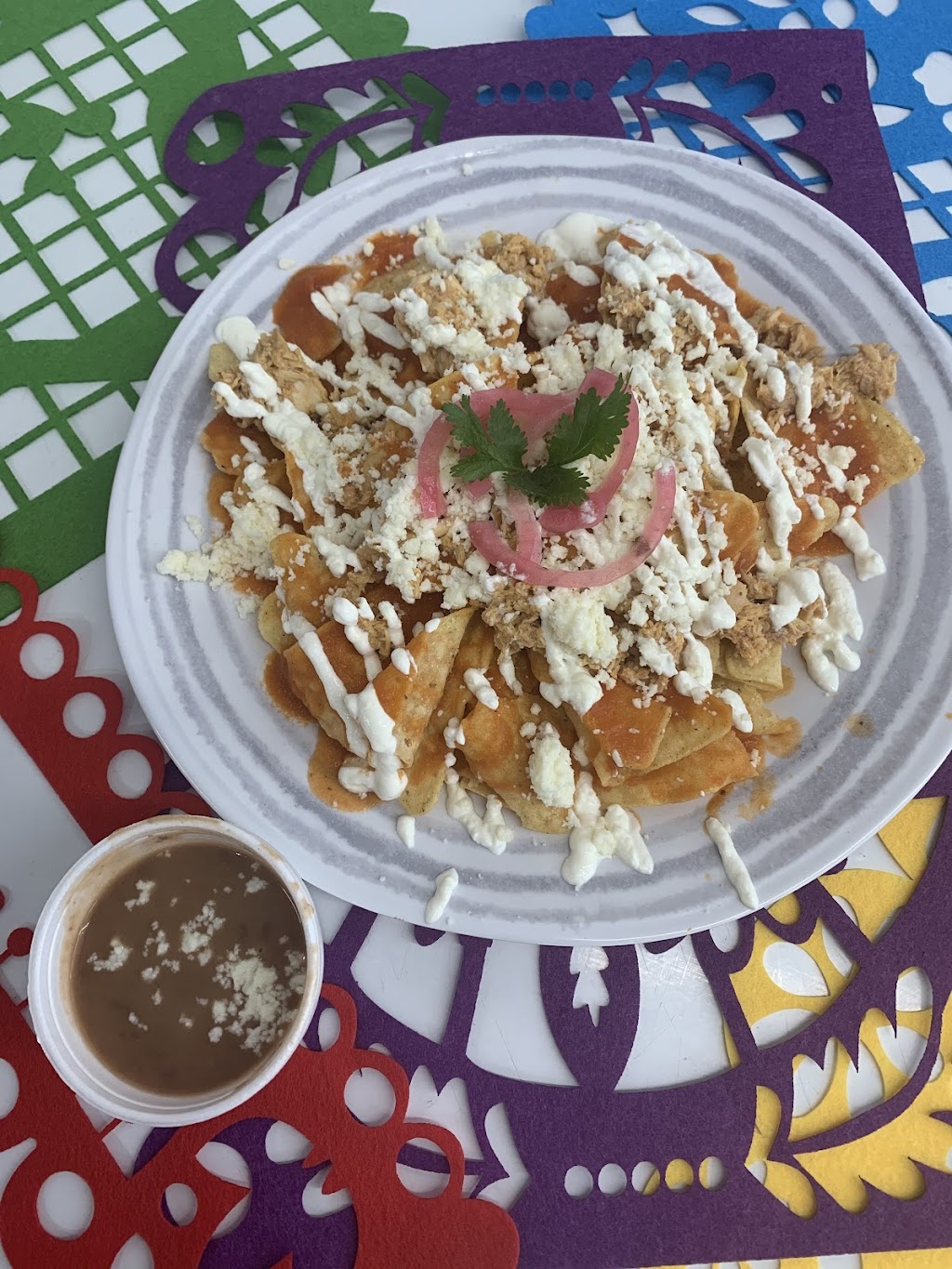 Spice Latino Fusion Food Truck | restaurant | 404 N Division St, Traverse City, MI 49684, USA | 2313576922 OR +1 231-357-6922